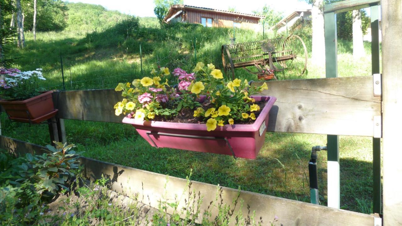 Gite La Lanterne Transition Ecologique Avec Borne De Recharge 7Kw Site Sous Video Protection Nalzen Экстерьер фото